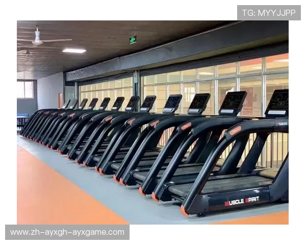 高效私教课程离不开的10大健身器材解析