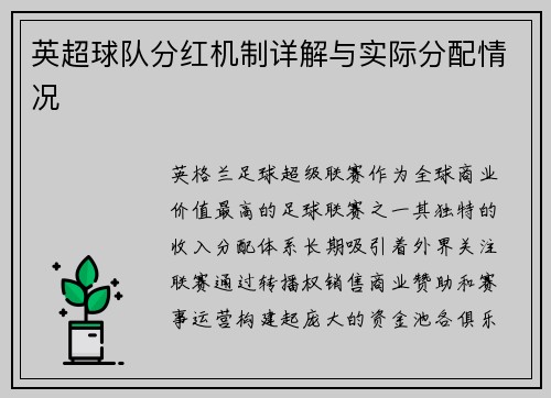 英超球队分红机制详解与实际分配情况